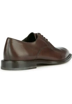 Geox ArtenovaStringate ElegantiDark Brown Uomo Scarpe Eleganti GE112M06T-O11 13 Geox ArtenovaStringate ElegantiDark Brown Uomo Scarpe Eleganti GE112M06T-O11 -Luce Scarpe Negozio 0ea79b9ff2384d5db4381f5bbf427974