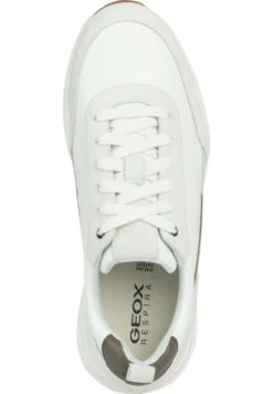 Geox U Radente - Sneakers Basse - Off White White -Luce Scarpe Negozio 2cc1f7d1bb7a4b3999d7e20abad47bb5