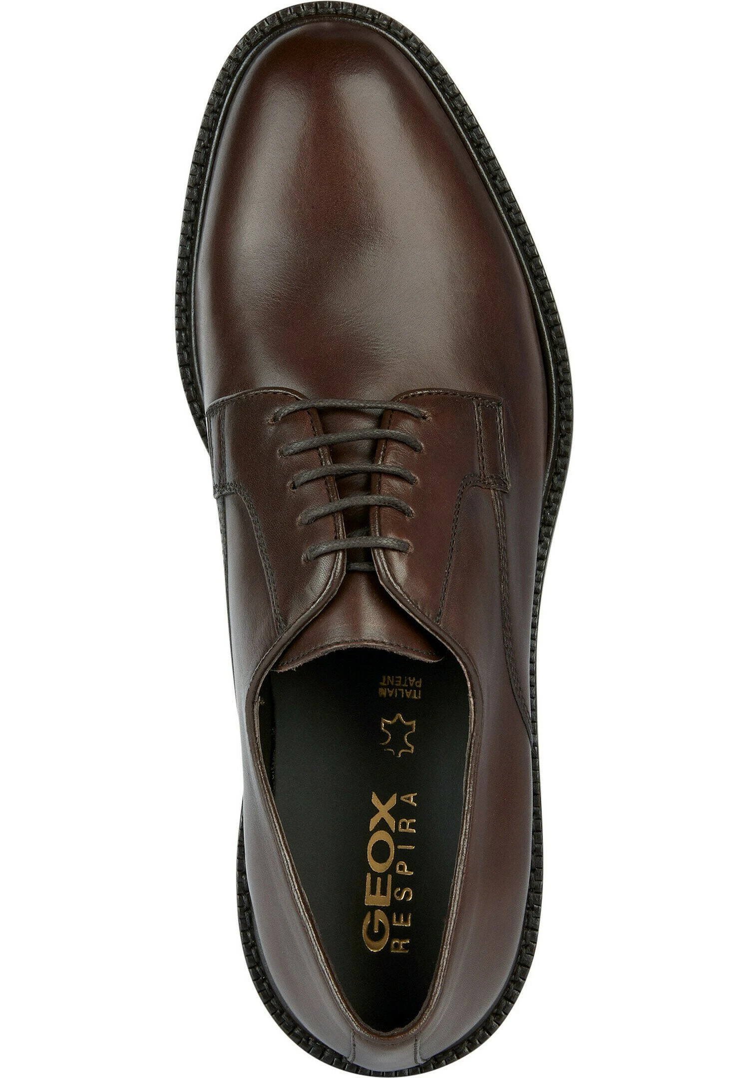 Geox ArtenovaStringate ElegantiDark Brown Uomo Scarpe Eleganti GE112M06T-O11 5 Geox ArtenovaStringate ElegantiDark Brown Uomo Scarpe Eleganti GE112M06T-O11 - immagine 3